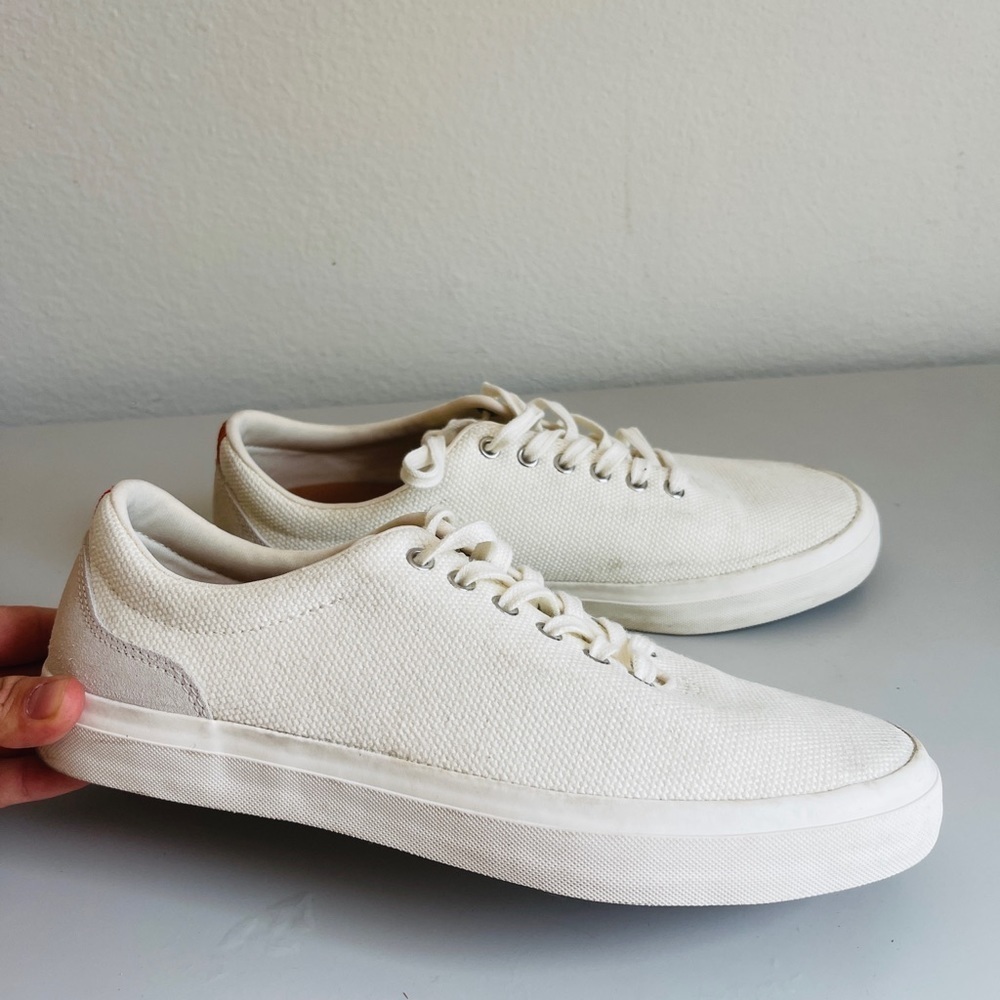 Arbor Legacy Shoes